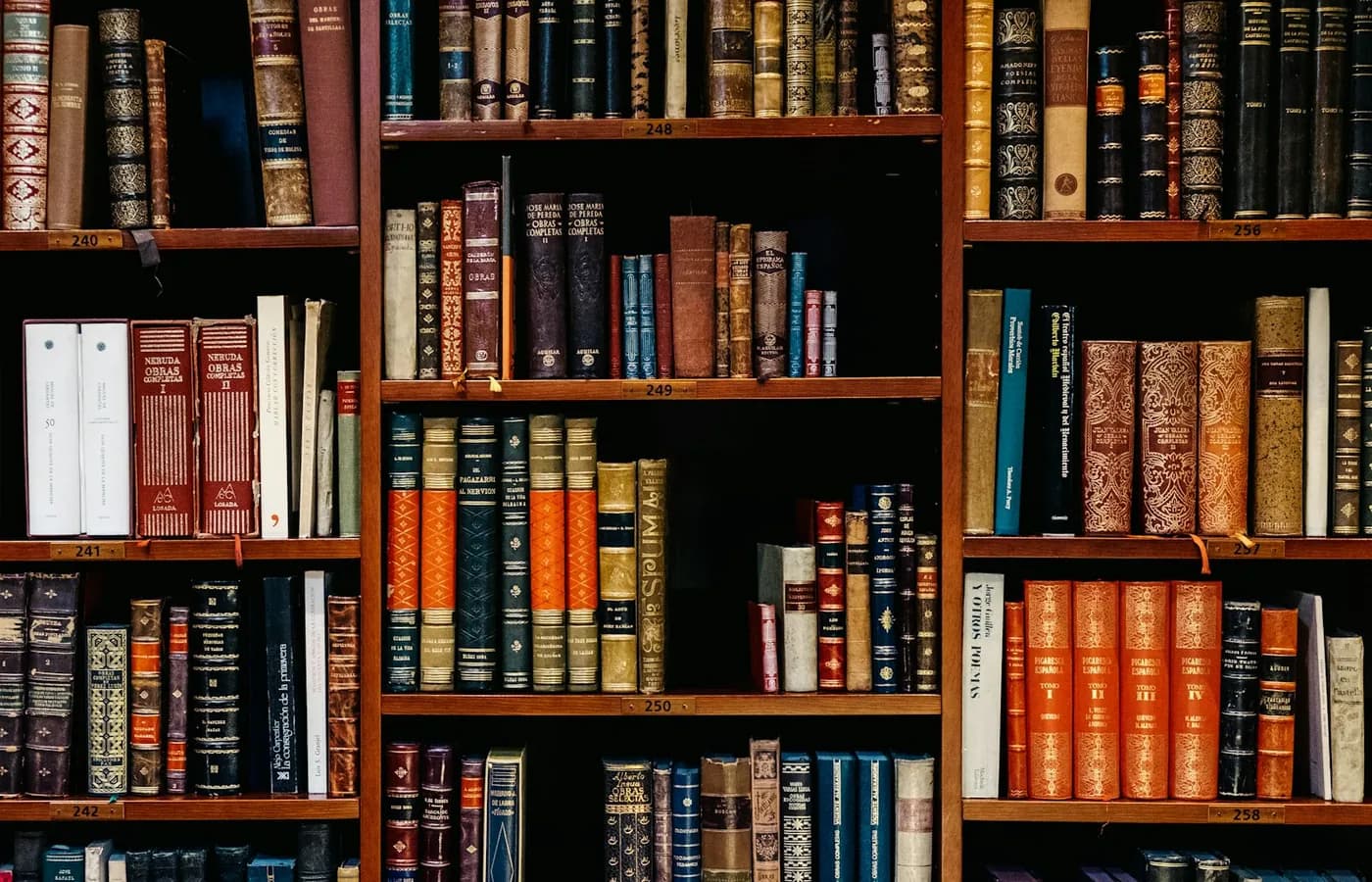 Literary Library Background